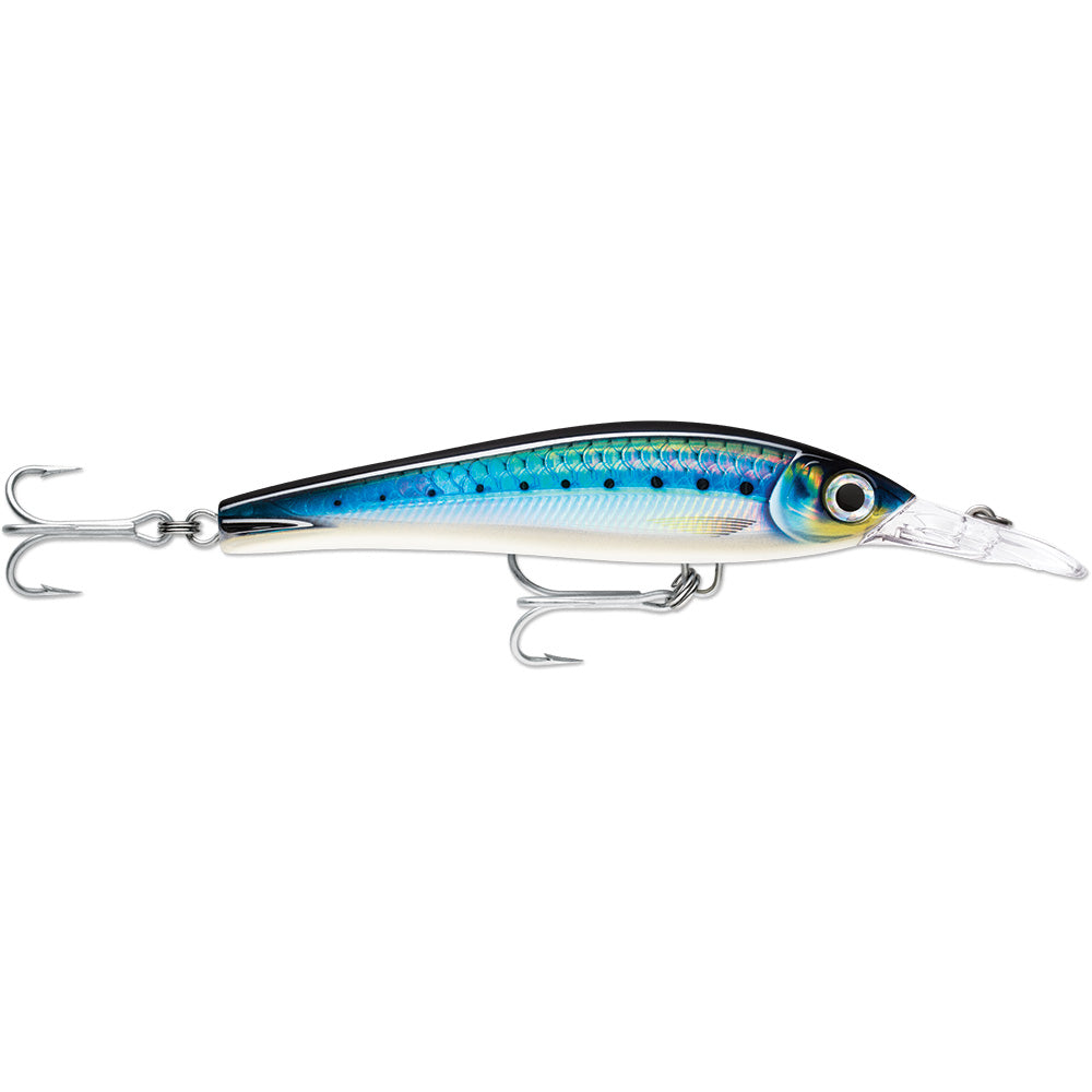 Rapala X-Rap Magnum Xtreme 6-1/4" HD Blue Sardine [XRMAGXT160HDBSRD]